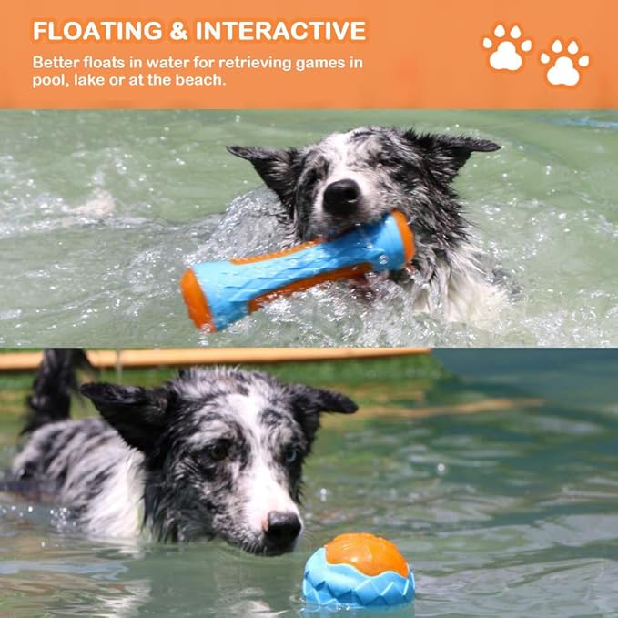 Dog Squeaky Pool Toys, Floating Interactive Fetch & Play for Beach, TPR