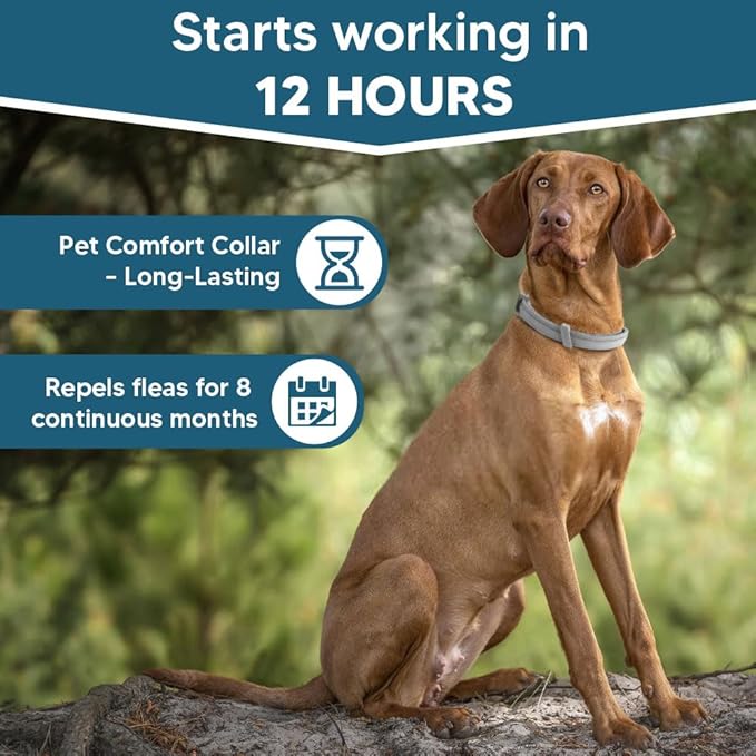 Flea Collar for Large Dogs,Dog Flea Collar,Natural Flea & Tick Collar,Tick and Flea Collar for Dogs,Adjustable Soft Fit,Simple to Use,People/Pet/Plant Friendly-2P (2 Ounce (Pack of 2))