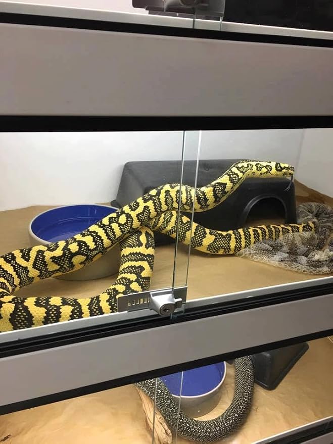 LEOTERRA Large Snake Hides Reptile Hides for Ball Pyhtons Large Snakes Use Humid Hides 13"X8.66"X3.15" (L) Durable and Easy to Clean Can Also be Used as a mole, Hamster, Guinea Pig Hideout (2 pcs)