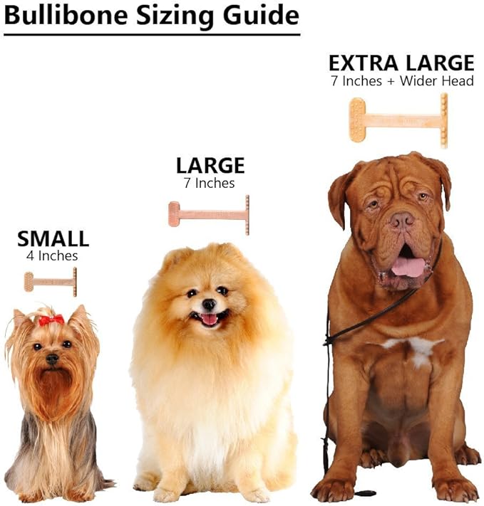 Bullibone Nylon Dog Chew Toy for Aggressive Chewers - Dental Hygiene Bone with Beef Flavor, Durable Tough Chew Toys for Small Dogs, Indestructible Dog Bone - 2 Pack