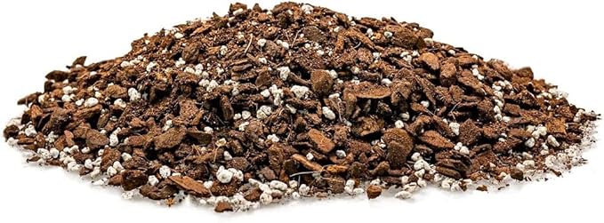 Monstera Dubia Plant Soil Mix - Trusted by Garden Experts for Thriving and Healthy Plants - 20 Quart (4 Bags of 5 Quart)