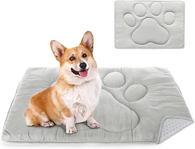 Coldwind Dog Crate Pad(19"x 30"), Washable Crate Mat with Anti-Slip Bottom, Dog Mats for Sleeping, Breathable Kennel Pad,Dark Colored to Hide Stains