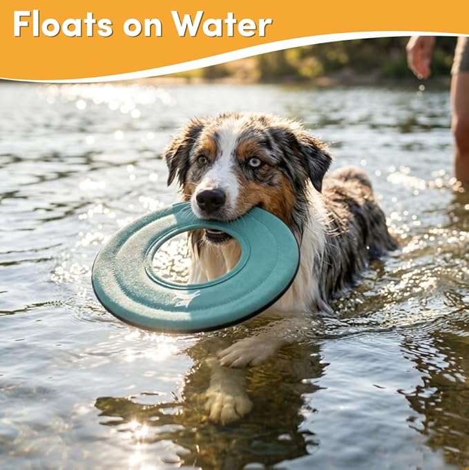 OllyDog Super Flyer, Floating Dog Disc for Water Play – Soft Durable Dog Fetch Toy, Eco-Friendly Recycled Material, Gentle on Teeth, Lightweight Flying Disc for Medium, Large Dogs (Surf, 11")