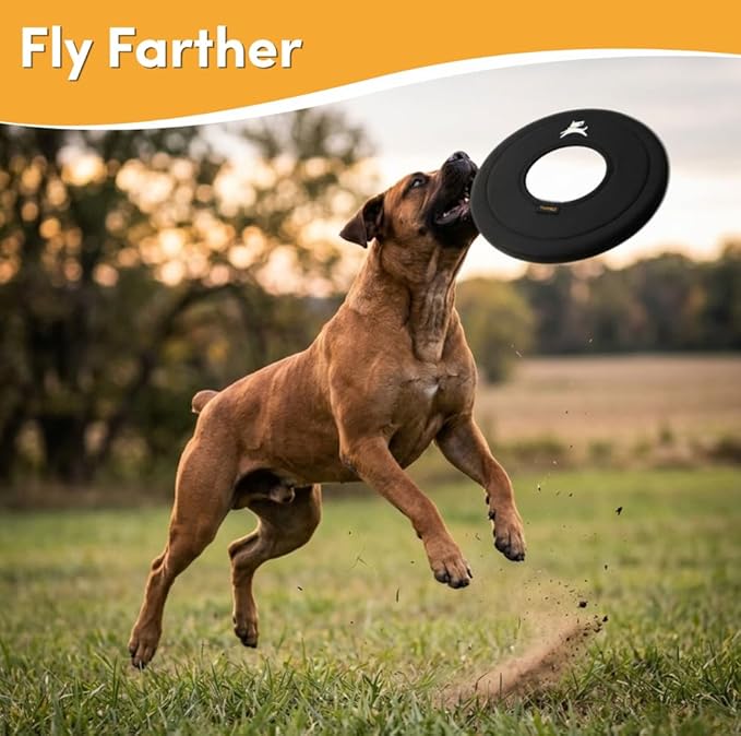 OllyDog Super Flyer, Floating Dog Disc for Water Play – Soft Durable Dog Fetch Toy, Eco-Friendly Recycled Material, Gentle on Teeth, Lightweight Flying Disc for Medium, Large Dogs (Raven, 11")