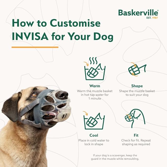 Baskerville INVISA Basket Dog Muzzle - Patented Humane Design with Facial Visibility, Padded Nose Band, Dog can Pant and Drink, Prevents Biting and Scavenging. Muzzle for Medium-Sized Dogs (Size 4)