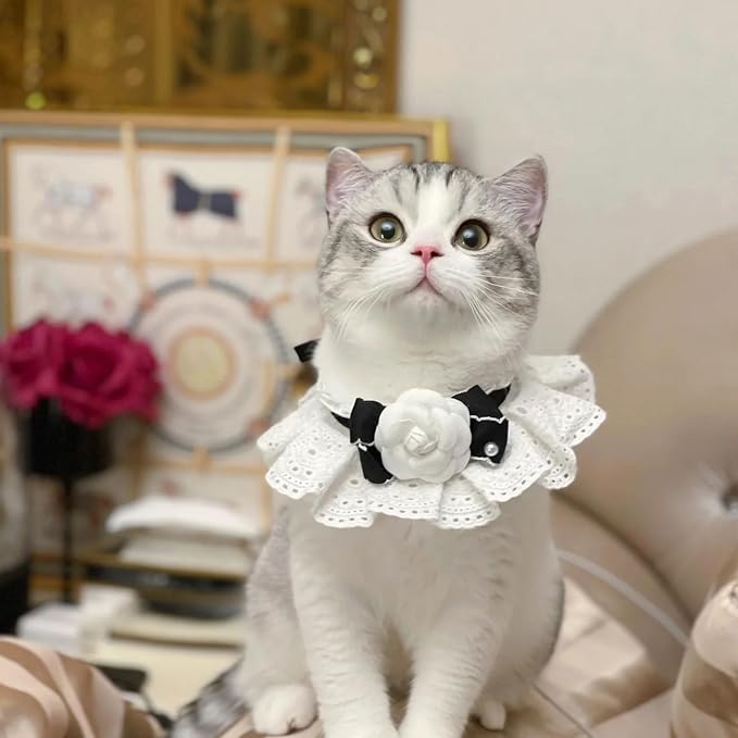 Elegant Lace Cat Collar with Cute Bow,Cat Collar with Bow Tie,Pet Lace Bib Collar with Cute Bow,Cat Princess Costumes,White,1 Piece ﻿