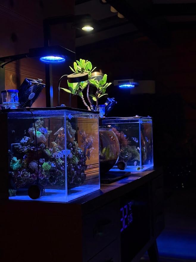 Coralland 8-Gallon Saltwater Aquarium - Ultra Clear Low Iron Glass, 45° Angled Joint Design, Crystal Clear Viewing, Perfect for Marine Fish & Reef Tanks & Freshwater