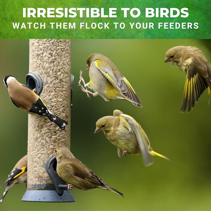 Nature Anywhere Safflower Bird Seed for Outside Feeders Safflower Supreme, 100% Pure Safflower Seed, Made in USA, No Fillers, Premium Wild Bird Food