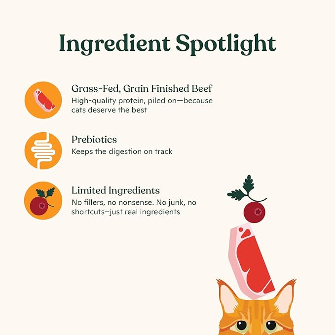 Made by Nacho Bone Broth Cat Food Topper for Hydration and Picky Eaters - Add Protein and Flavor to Your Dry Cat Food – Supports Optimal Nutrition, Digestion, Skin & Coat, 11 oz. (Pack of 8), Beef