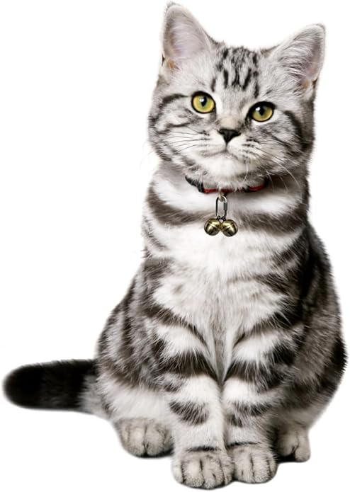 2 Extra Loud Dog and Cat Bells, Heavy Duty Copper Collar Bell with Quick Link for Pet Tracking