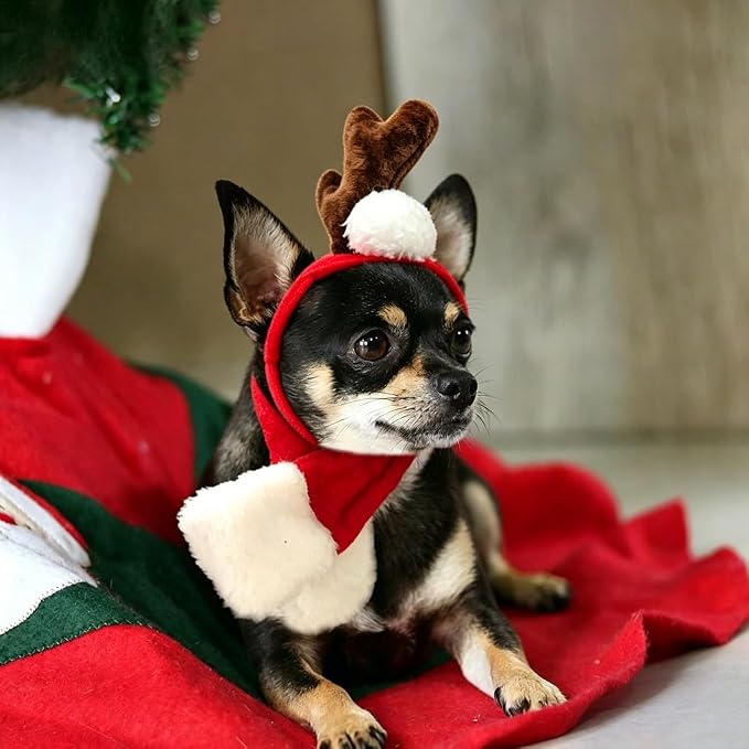 NAMSAN Cat Christmas Reindeer Costume, Small Dog Max Antler with Santa Scarf, Xmas Small Pet Single Reindeer Headband Scarf Outfit, Adjustable Cat Elk Antler and Red Scarves for New Year Cosplay