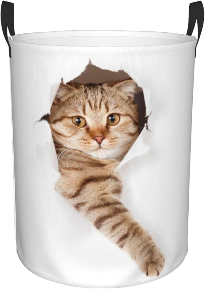 Cute Cat In White Hole Round Laundry Hamper Storage Basket Toys Clothes Organizer Bin For Home Bathroom Bedroom Dorm Nursery, 38l