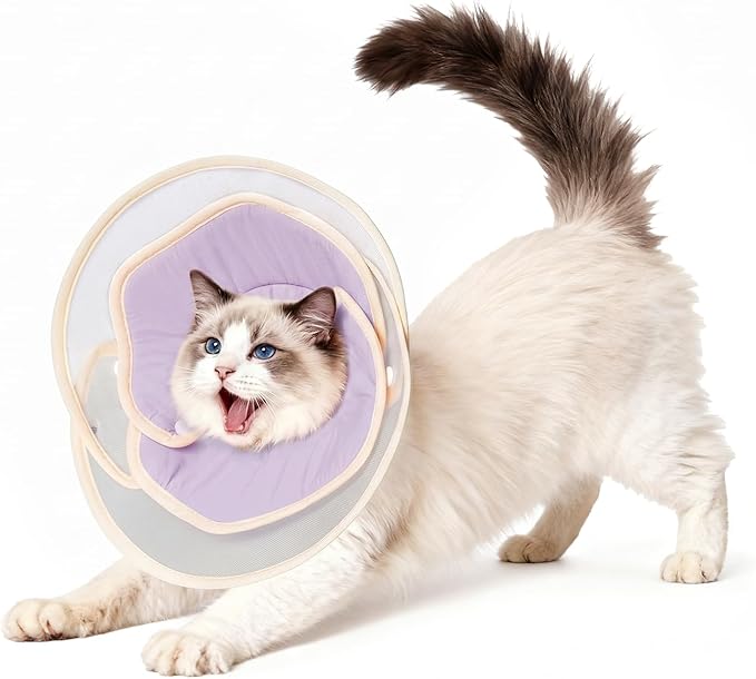 Cute Flower - Shaped Cat Cone for Kittens & Cats (Purple, M)