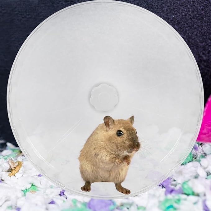 Toddmomy Silent Hamster Running Wheel Large 12-Inch Exercise Wheel for Hamsters Chinchillas Gerbils Sturdy Crystal Design Dual Bearings for Smooth Operation