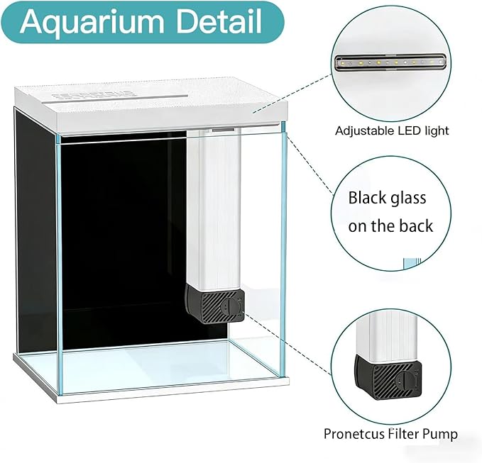 2 Gallon Glass Betta Fish Tank with Heater Filter and Light, Self-Cleaning Small Aquarium Starter Kits