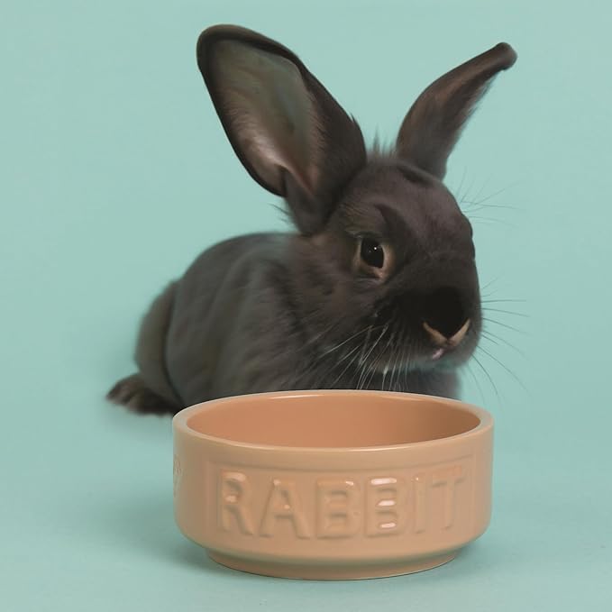 Mason Cash: Cane Rabbit Bowl - 5.2", 13.5oz - Tan Food-Water Feeding Dish, Durable Ceramic Stoneware, Microwave-Dishwasher Safe, Pet Feeding-Hydration