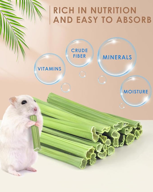 Bissap 25 PCS Guinea Pigs Chew Sticks, Natural Papaya Stems Bunny Chews Treats for Hamsters Chinchillas Small Animals Organic Molar Chewing Snack