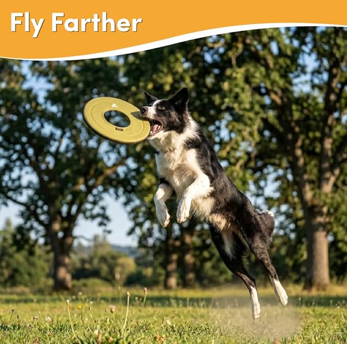 OllyDog Super Flyer, Floating Dog Disc for Water Play – Soft Durable Dog Fetch Toy, Eco-Friendly Recycled Material, Gentle on Teeth, Lightweight Flying Disc for Medium, Large Dogs (Alchemy, 11")