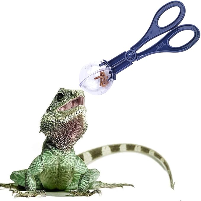 Reptile Feeding and Cleaning Tool, Amphibian Terrarium Spider Cricket Feeding Clamp Litter Clamp