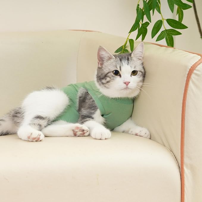 kzrfojy Cat Recovery Suit Cat Onesie for Cats After Surgery Female Male Spay Kitten Neuter Surgical Bodysuit Post Surgery Cone of Shame Alternative Anti Licking (Green, Large)