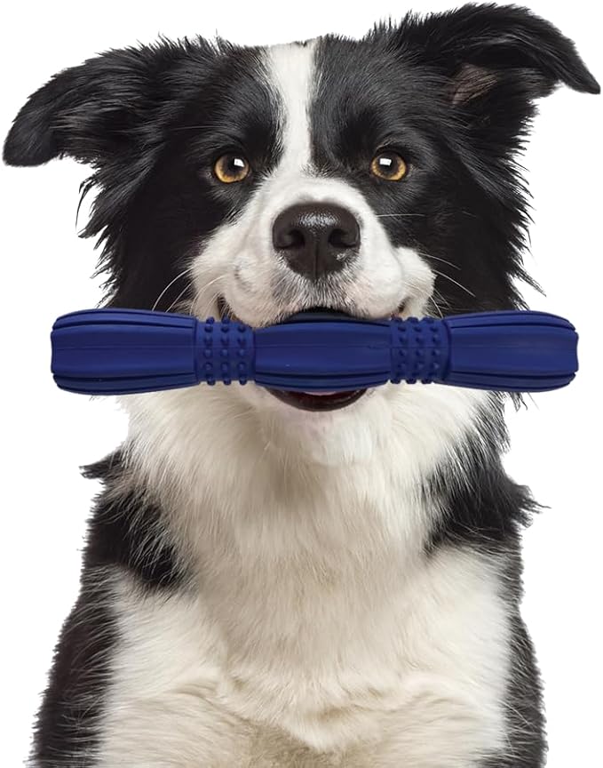 SPOT Barrett Tough Retriever Stick for Medium & Large Dogs - Virtually Indestructible Solid Rubber Dog Toy for Aggressive Chewers, Textured for Dental Health, Engaging Fetch Stick, 9.5 inch