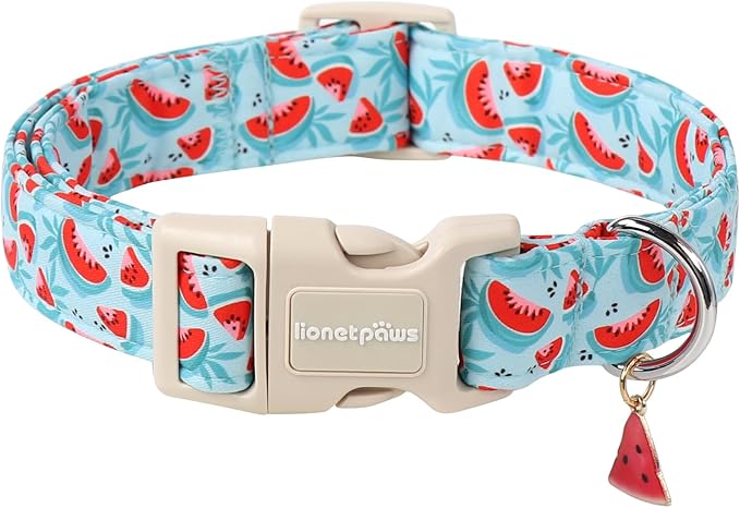Lionet Paws Summer Dog Collar- Cute Watermelon Light Blue Dog Collars with Plastic Buckle and Watermelon Pendant, Light Adjustable Dog Collars for Medium Dogs