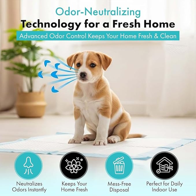 TBM Puppy Pads Pack of 2 (200 Count) - 23.6" x 23.6" - Super Absorbent Pee Pads for Dogs - Premium Leak-Proof - Pets Potty Training Essentials - Disposable Quick-Dry Pads for Puppies | Cats | Rabbits
