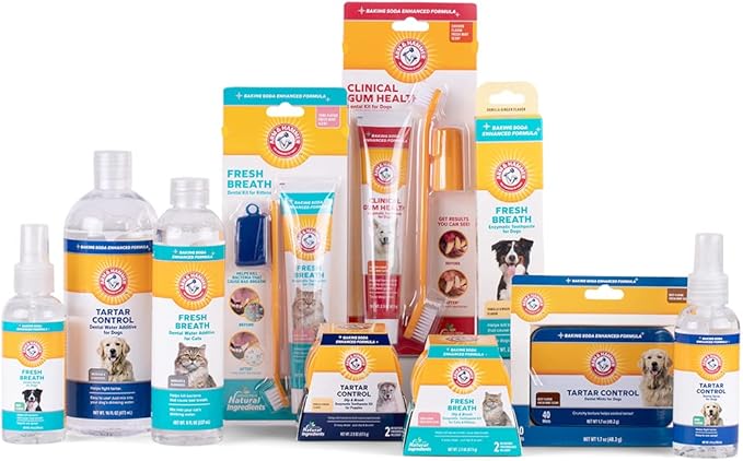 Arm & Hammer for Pets Tartar Control Dental Mints for Dogs, Reduces Plaque & Tartar Buildup Without Brushing, Freshens Dog Breath, Beef Flavor, Fresh Mint Scent, 40 Count, Medium Breeds - 60 Pack