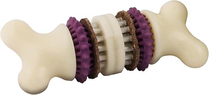 PetSafe Busy Buddy Bristle Bone Dog Chew Toy - Treat Holding Toothbrush Toy for Hard Chewers - Helps Keep Your Dog's Teeth Clean - Durable, Interactive - Purple, Extra Small