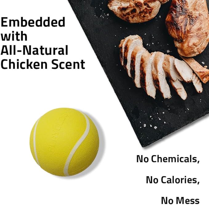 Playology Dog Toys | Squeaky Chew Ball for Dogs, Value 2-Pack | Chicken Scented Medium Dog Balls | Bouncy Floating Chew Toys for Fetch