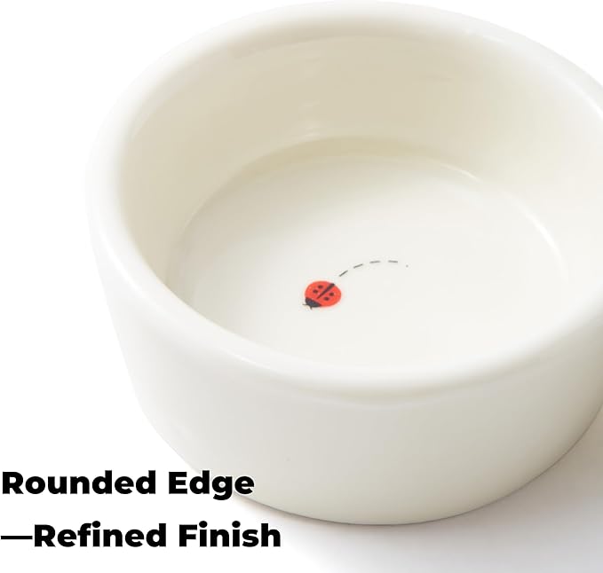Sugar Glider Food and Water Bowl – Ceramic Shallow Double Dish, Stable Platform Feeder for Nectar & Soft Foods, Small Animal Cups for Sugar Gliders, Hamsters, Hedgehogs, Gerbils, Chipmunks