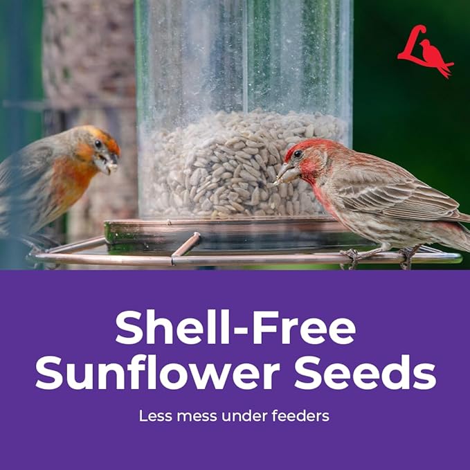 Lyric Sunflower Kernels Wild Bird Seed for Outside Feeders, No Waste Bird Food, Attracts Finches and More, 5 lb Bag