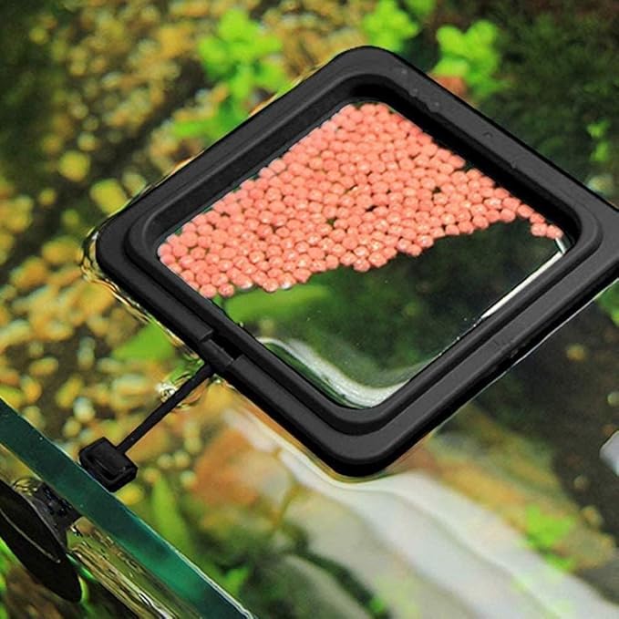2pcs Black Fish Feeding Ring, Black Round and Square Aquarium Floating Food Feeder, Food Feeders with Suction Cup for Goldfish Turtle and Other Smaller Fish, Food Feeding Ring with Suction Cup