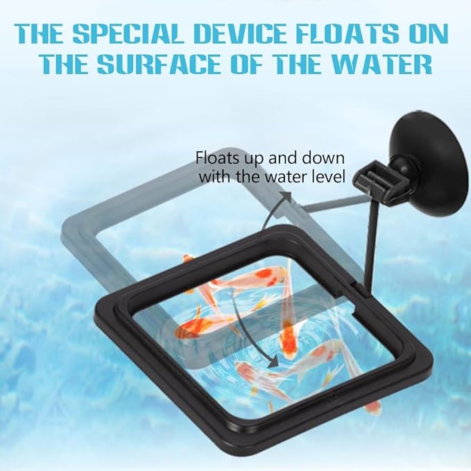 Fish Feeding Ring, Fish Safe Floating Food Feeder Circle Blue, with Suction Cup Aquarium, Square and Round Shape Fish Tank Towels - for Guppy, Betta, Goldfish, Etc (1 Square)