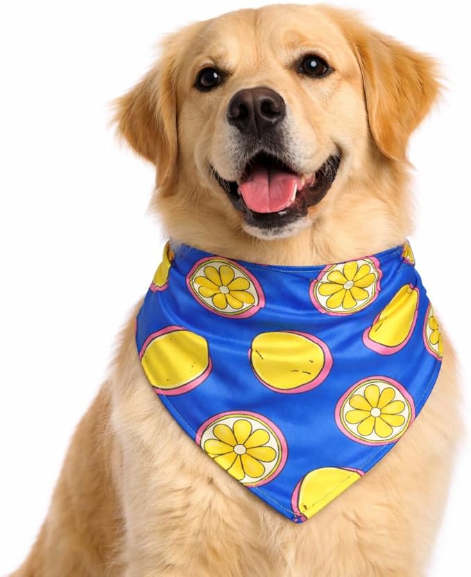 Luxury Satin Dog Bandana – Slip-On Collar Style, Premium Pet Scarf for Medium, Large & XL Dogs – Special Occasion Accessory (Collar Not Included) (Medium - Extra Large, Lemon Luxe - Satin)