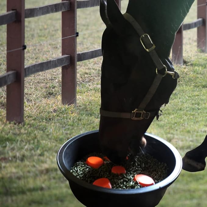 Drop 'N' Slow® Patented Portable Equine Slow Feeder Insert Fits 12 Inch Round Feed Tubs – Reduces Choke, Curbs Bad Eating Habits, Promotes Healthy Digestion