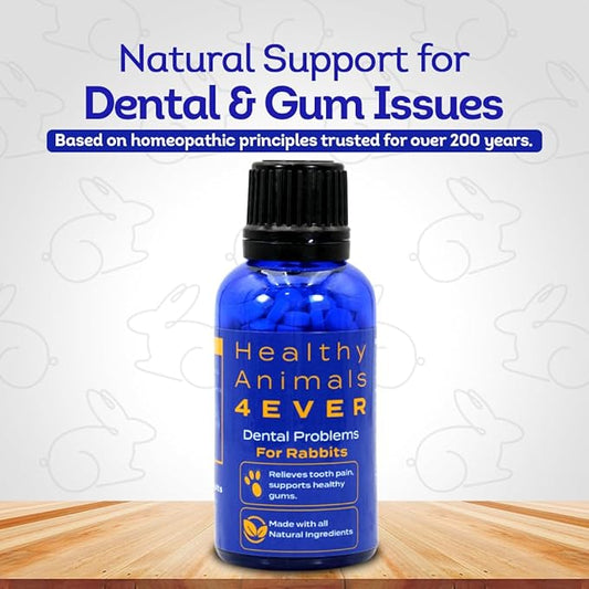 HealthyAnimals4Ever HA4E - Rabbit Dental Problems Treatment - Preventive Care for Dental Issues & Overgrown Teeth - Promotes Oral Health - Natural Homeopathic Tablets - 300 Count