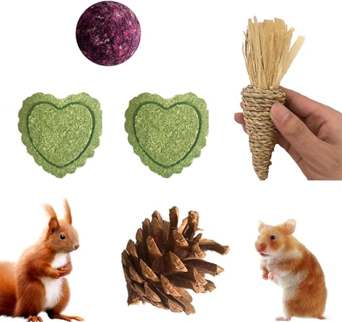 Hamster Chew Toys, 11PCS Rabbit Molars Care Set Sweet Bamboo Water Grass Ball and Cake Apple Branch Treats for Chinchilla