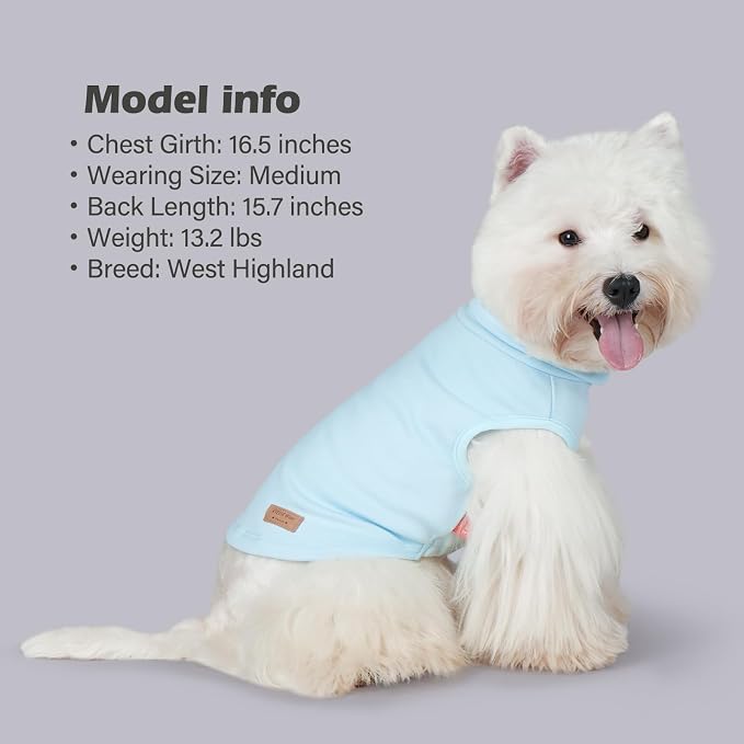 KYEESE 2Pack Dog Sweater Warm Pet Coats Pullover Dog Sweaters for Small Dogs Male Stretchy Pets Clothes Soft Pet Sweatshirt Turtleneck Dogs Clothes