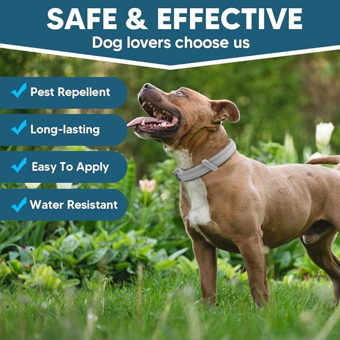 Flea Collar for Large Dogs,Dog Flea Collar,Natural Flea & Tick Collar,Tick and Flea Collar for Dogs,Adjustable Soft Fit,Simple to Use,People/Pet/Plant Friendly-2P (2 Ounce (Pack of 2))