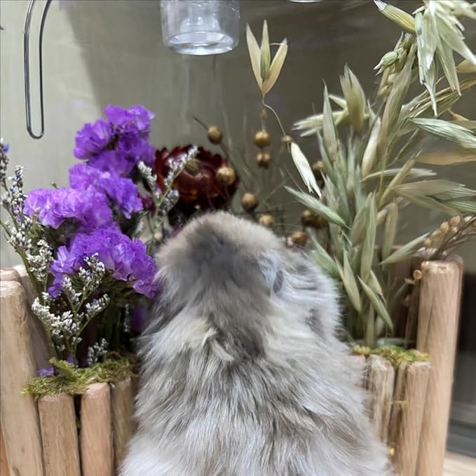 Hamster Natural Wood Flower Foraging Holder, Interactive Feeding Stand Habitat Accessories for Small Pets Hamsters Guinea Pigs Dwarf Gerbils (Yellow, 5x18cm)