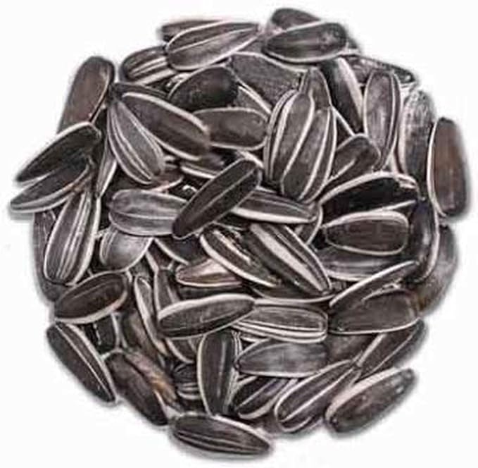 CountryMax Striped Sunflower Seed 10 Pounds