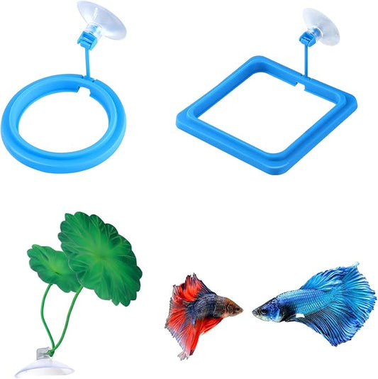 2Pcs Fish Feeding Ring, 2 Feeding Ring for Tank with 1pcs Betta Fish Live Plant, Betta Feeder for Aquarium Decor, Goldfish Tank Accessories