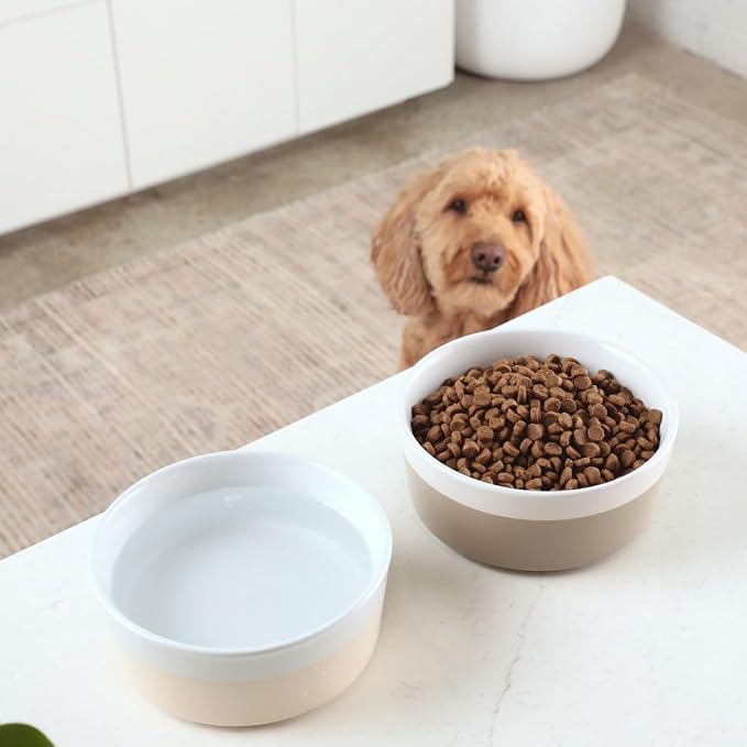 Waggo Dipper Ceramic Dog Bowl for Small and Large Breeds - Heavyweight and Durable Pet Food and Water Dish Crock, Dishwasher Safe, Modern (Buttercream, Medium)