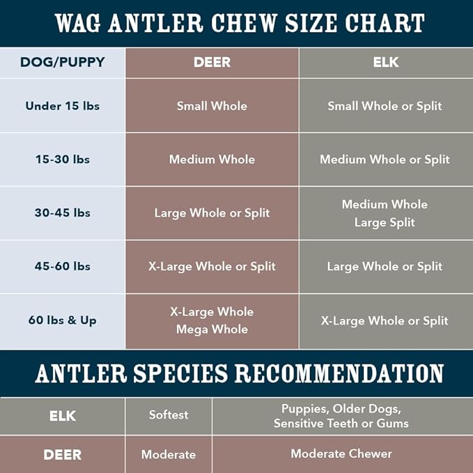 Amazon Brand - Wag Split Elk Antler, Naturally Shed, Long Lasting for Aggressive Chewers, Medium (Best for Dogs 15-30 lbs)