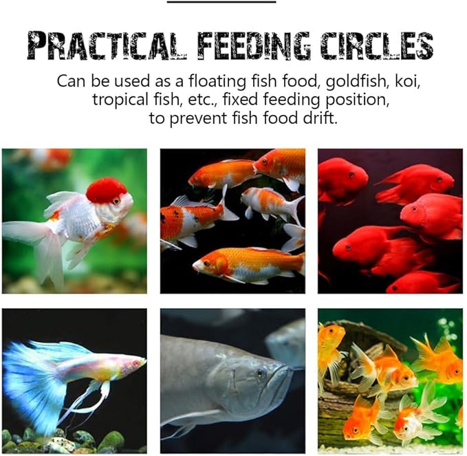 Fish Feeding Ring, Fish Safe Floating Food Feeder Circle Blue, with Suction Cup Aquarium, Square and Round Shape Fish Tank Towels - for Guppy, Betta, Goldfish, Etc (1 Circle)