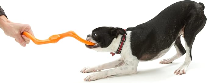 WEST PAW Zogoflex Bumi Dog Tug Toy – S-Shaped, Lightweight Chew Toys for Fetch, Play, Pet Exercise – Tug of War Soft Flinging Squishy Chewy Toy for Dogs – Guaranteed, Latex-Free, Small 8", Tangerine