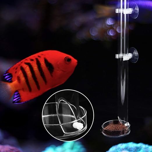 Shrimp Feeding Tube and Dish Set,Acrylic Shrimp Feeder Tube Feeding Dish Bowls for Fish Tank Aquarium Shrimp Fish, with 2 Suction Cups,Fish Tank Feeding Supplies(Tube Length 25cm)