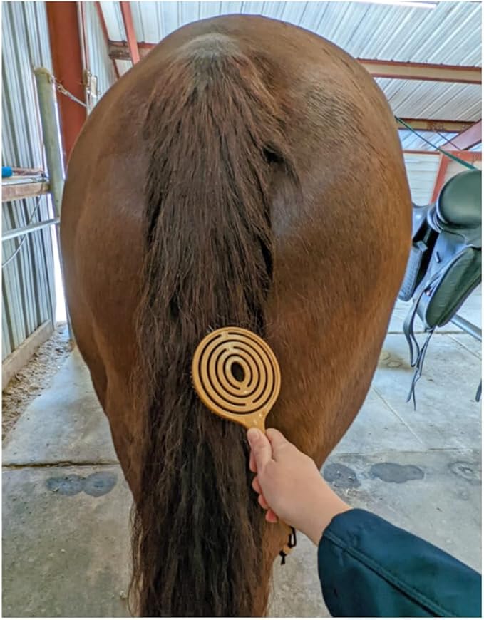 Epona Tigers Tongue Horse Groomer & The Queens Brush Set - Grooming Scrubber Sponge & Hair Brush for Removing Dirt & Dander on Horse's Mane & Tail - for Equestrians and Horse Owners, with E-Book