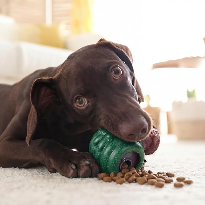 Gemscream 1 Pack Large Dog Toys for Aggressive Chewers, Dog Treat Dispensing Toy to Keep Them Busy, 2-in-1 Fillable Holder with 2 Cups and Food-Dispensing Lids for Large Medium (Green)